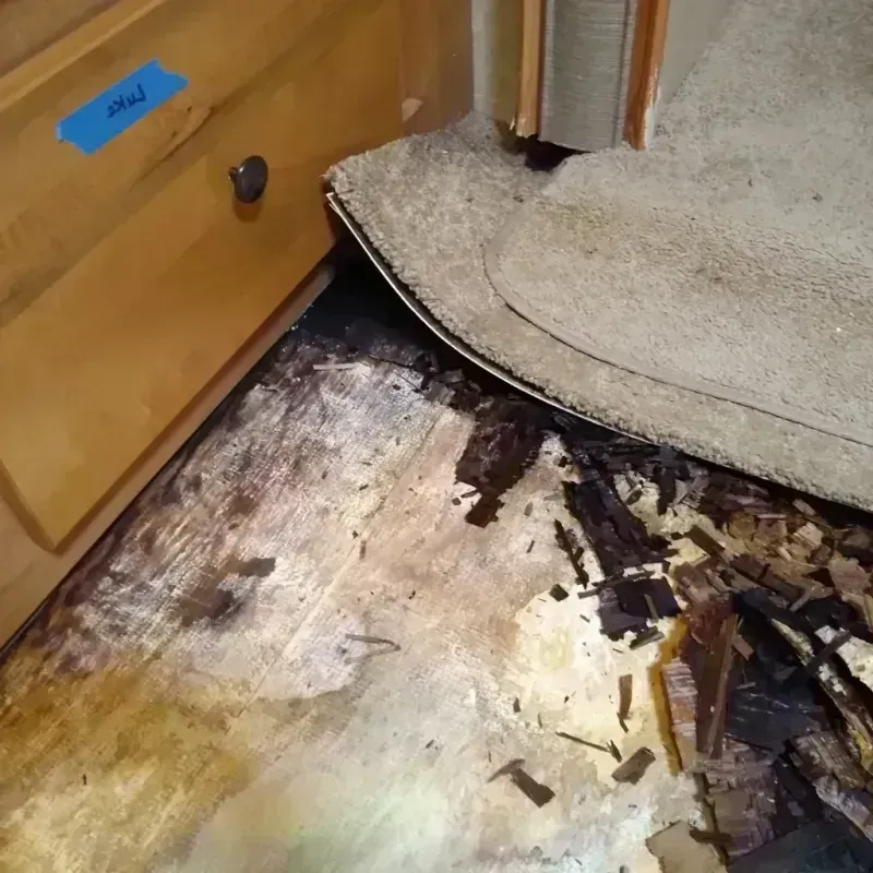 Best Wood Floor Water Damage Service in Sinking Spring, PA